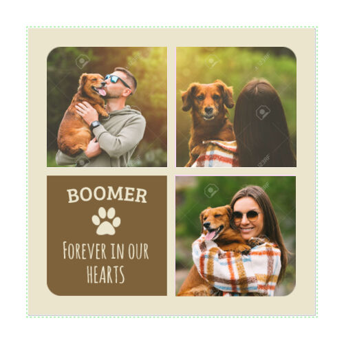 Pet Memorial TEST - Repositionable Wall Decal (10x10 Quad) - Square Corners Thumbnail