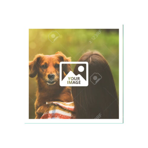 Basic 3/8" Border - 10x10 Wall Decal Thumbnail