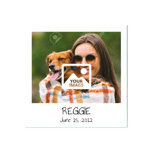 Polaroid Border - 10x10 Wall Decal Thumbnail